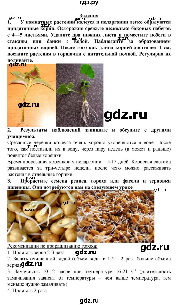 ГДЗ по биологии 6 класс Пасечник Многообразие покрытосеменных растений  § 2. Виды корней и типы корневых систем  - Задания, решебник