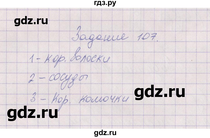 ГДЗ по биологии 6 класс  Пасечник рабочая тетрадь Бактерии, грибы, растения  задание - 107, Решебник
