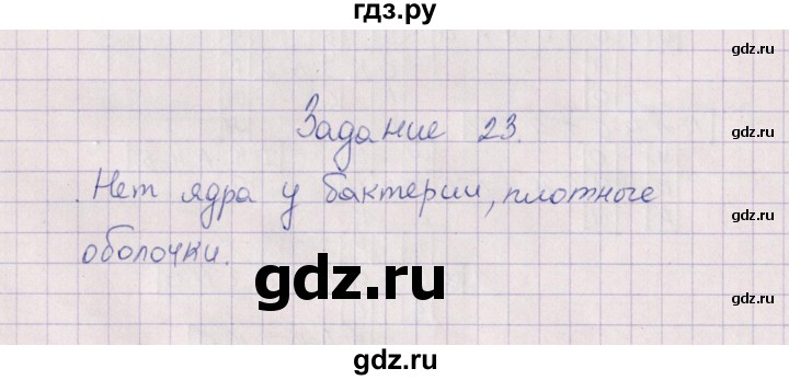 ГДЗ по биологии 6 класс  Пасечник рабочая тетрадь Бактерии, грибы, растения  задание - 23, Решебник