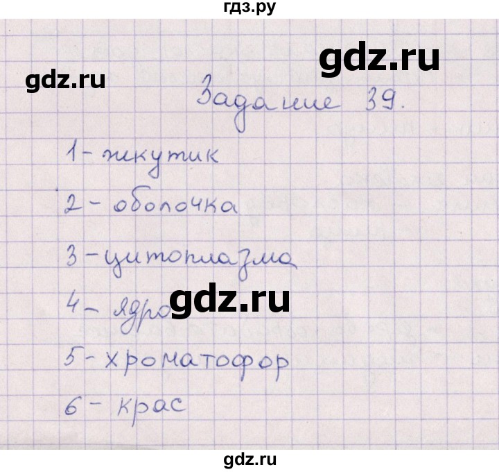 ГДЗ по биологии 6 класс  Пасечник рабочая тетрадь Бактерии, грибы, растения  задание - 39, Решебник