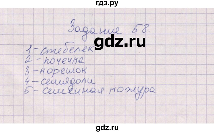 ГДЗ по биологии 6 класс  Пасечник рабочая тетрадь Бактерии, грибы, растения  задание - 58, Решебник