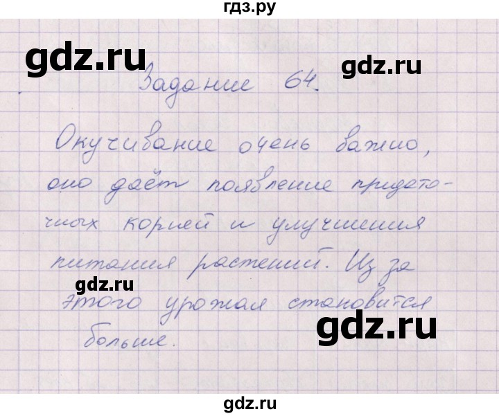 ГДЗ по биологии 6 класс  Пасечник рабочая тетрадь Бактерии, грибы, растения  задание - 64, Решебник