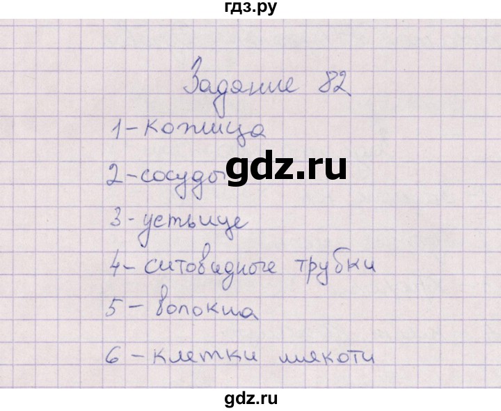 ГДЗ по биологии 6 класс  Пасечник рабочая тетрадь Бактерии, грибы, растения  задание - 82, Решебник