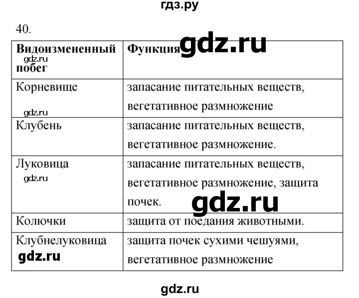 ГДЗ по биологии 6 класс Пасечник рабочая тетрадь Многообразие покрытосеменных растений  номер - 40, Решебник