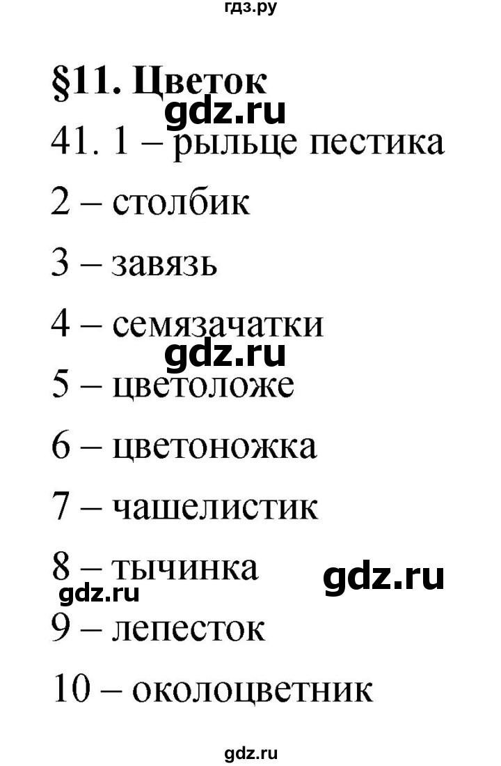 ГДЗ по биологии 6 класс Пасечник рабочая тетрадь Многообразие покрытосеменных растений  номер - 41, Решебник