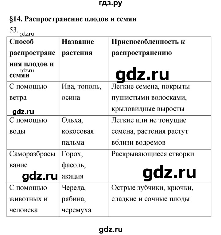 ГДЗ по биологии 6 класс Пасечник рабочая тетрадь Многообразие покрытосеменных растений  номер - 53, Решебник