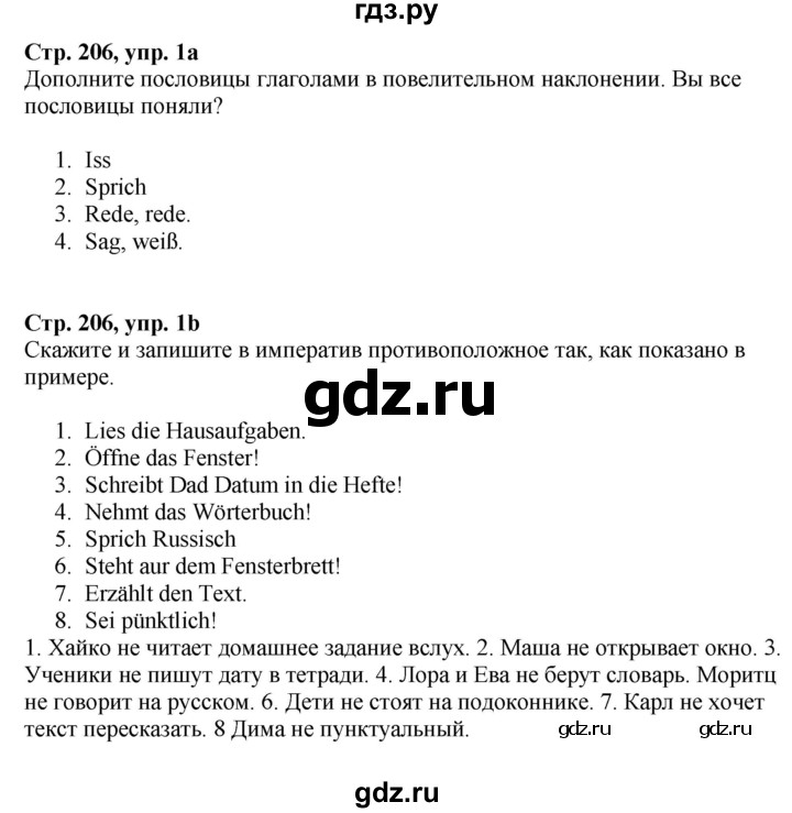 ГДЗ по немецкому языку 6 класс Радченко Wunderkinder Plus Базовый и углубленный уровень страница - 206, Решебник к учебнику Wunderkinder Plus
