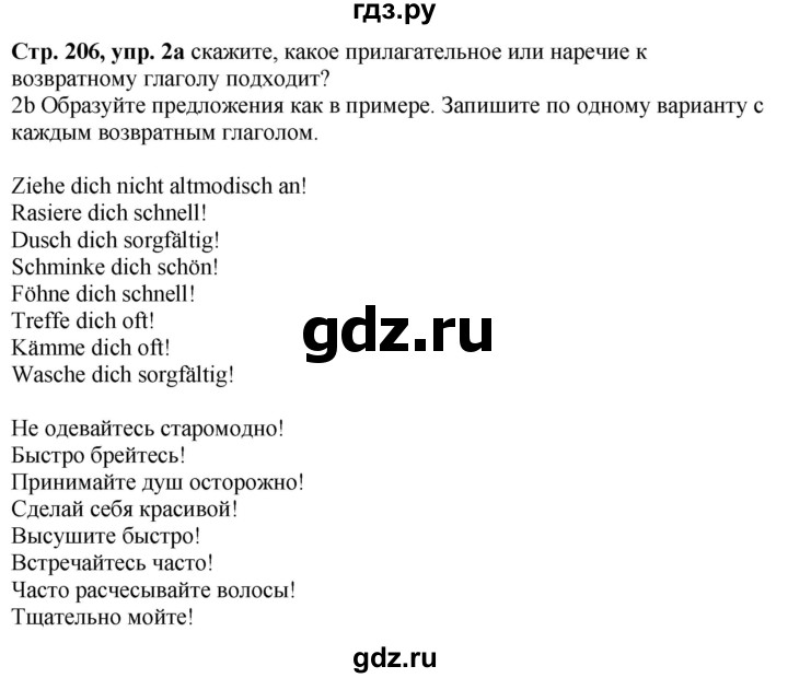 ГДЗ по немецкому языку 6 класс Радченко Wunderkinder Plus Базовый и углубленный уровень страница - 206, Решебник к учебнику Wunderkinder Plus
